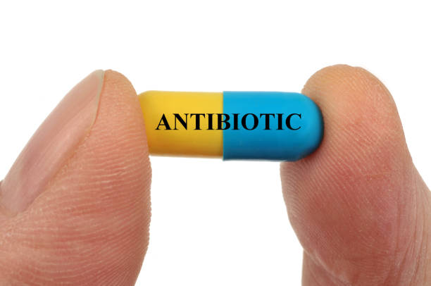 Harga Suntik Antibiotik